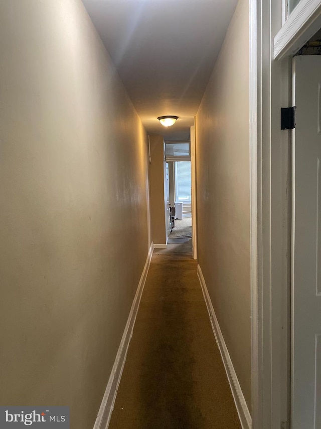 hallway featuring carpet