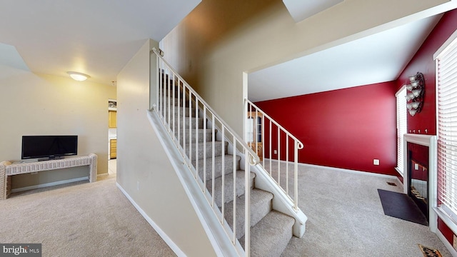 staircase with carpet flooring