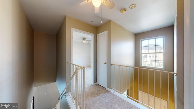 corridor with light colored carpet