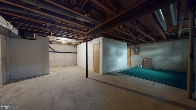 basement with electric panel