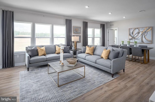 living room with light hardwood / wood-style floors