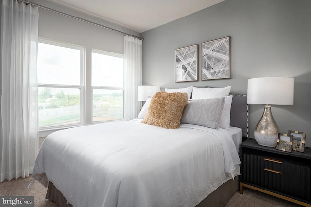 bedroom featuring dark carpet and multiple windows