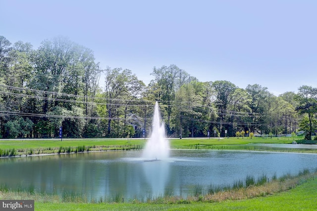 view of water feature