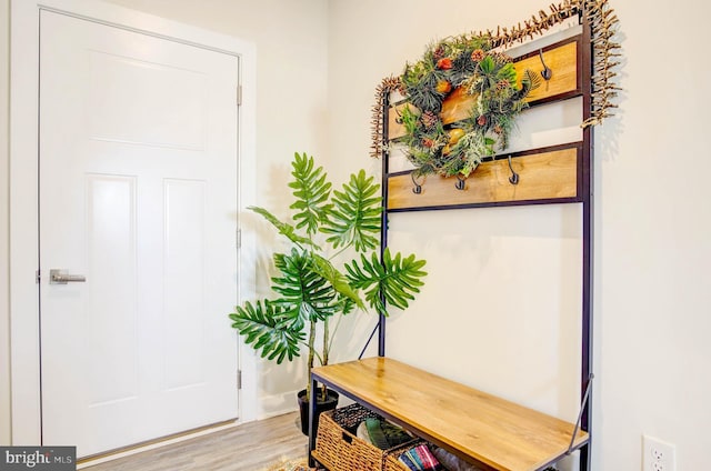 foyer with hardwood / wood-style flooring