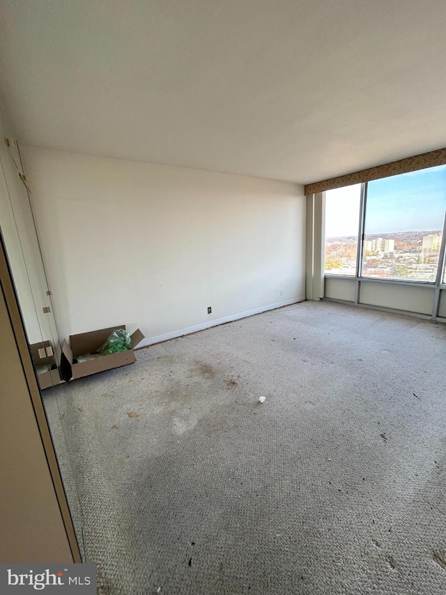 view of carpeted spare room