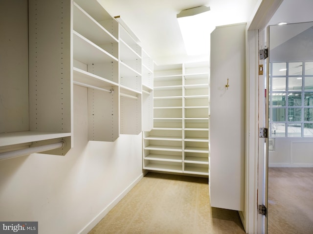 walk in closet featuring light colored carpet