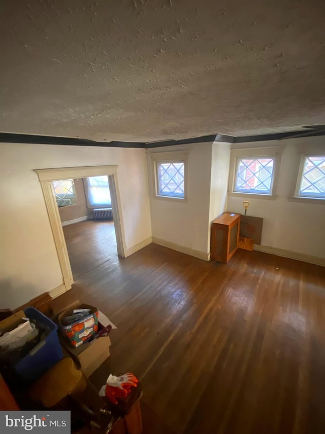 bonus room with hardwood / wood-style floors, radiator, a textured ceiling, and a wealth of natural light