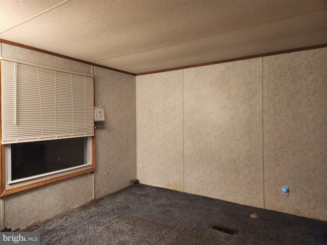 carpeted empty room with crown molding and a textured ceiling