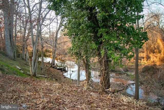 view of water feature