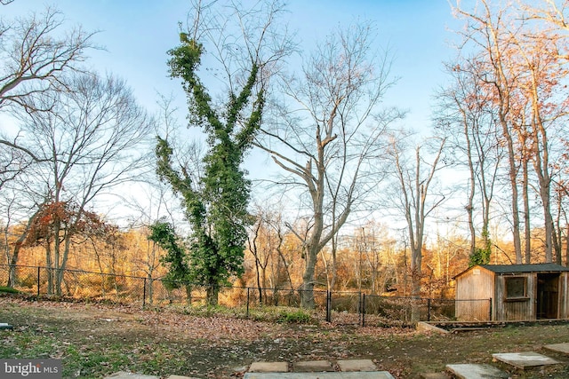 view of yard with an outdoor structure