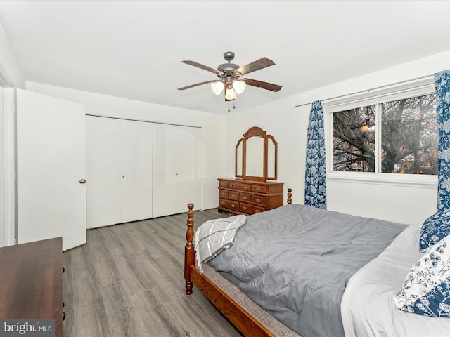 bedroom featuring ceiling fan, light wood-type flooring, and a closet