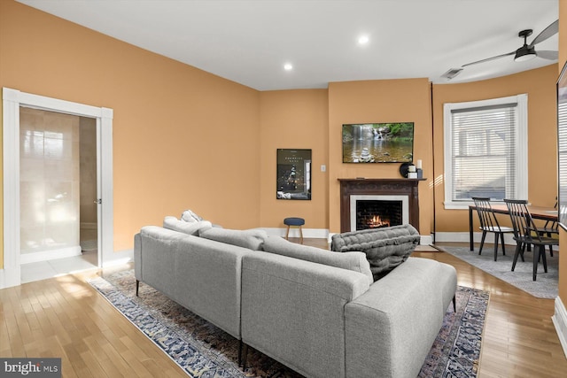 living room with ceiling fan and light wood-type flooring