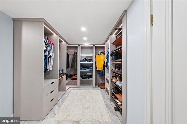 view of spacious closet