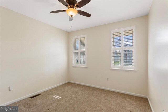 101 Forget Me Not Dr, White Post, VA 22663 - spare room featuring carpet, healthy amount of natural light, and baseboards