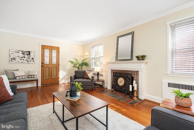 841 E Belvedere Ave E, Baltimore, MD 21212 - living area featuring radiator, crown molding, wood finished floors, a fireplace, and baseboards