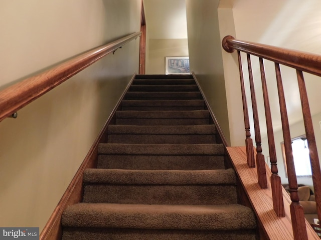 staircase with carpet flooring