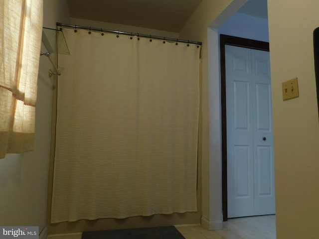 bathroom featuring wood-type flooring