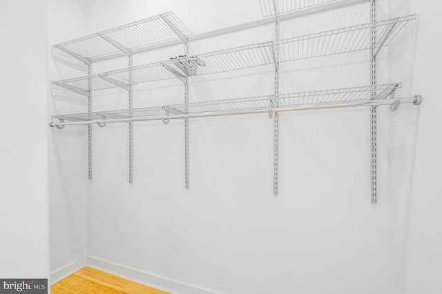 spacious closet featuring wood-type flooring