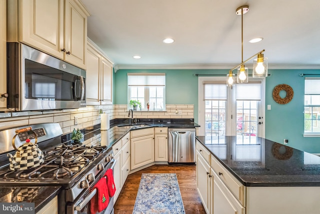 kitchen featuring appliances with stainless steel finishes, ornamental molding, plenty of natural light, and dark wood-type flooring