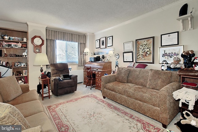 living room featuring a textured ceiling and crown molding