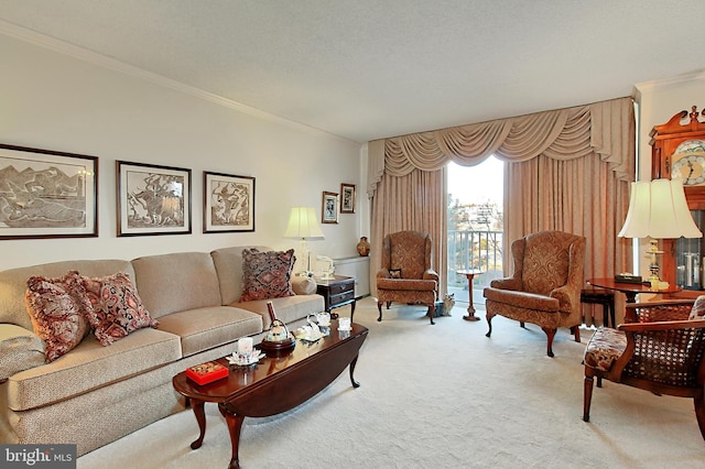 living room featuring carpet and ornamental molding