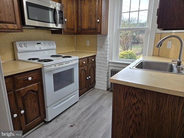 kitchen featuring sink, light wood-type flooring, dark brown cabinets, and white electric range