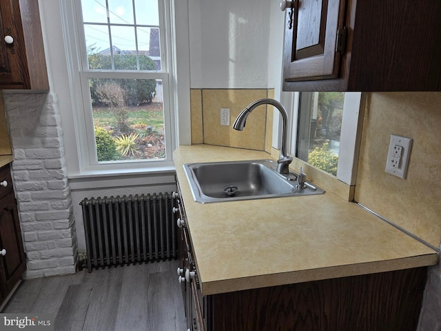 kitchen featuring radiator, dark brown cabinetry, sink, and hardwood / wood-style floors