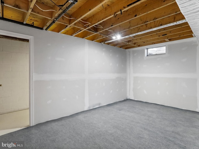 basement featuring carpet floors