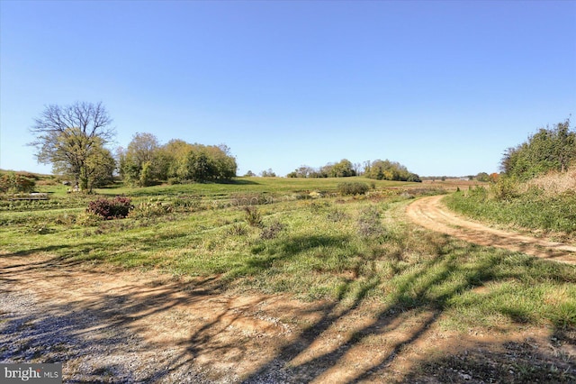 view of local wilderness with a rural view