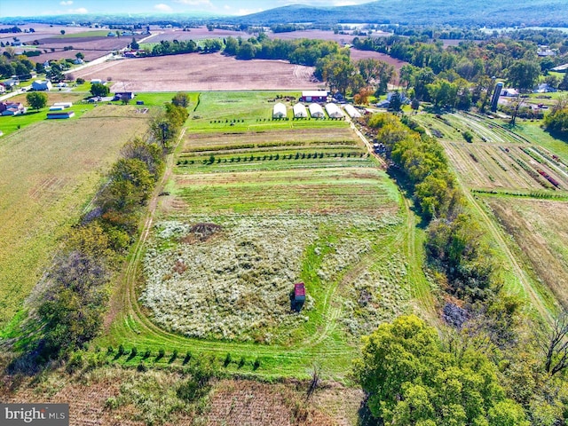 birds eye view of property with a rural view