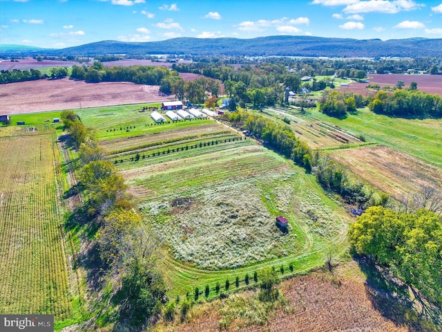 bird's eye view featuring a rural view and a mountain view