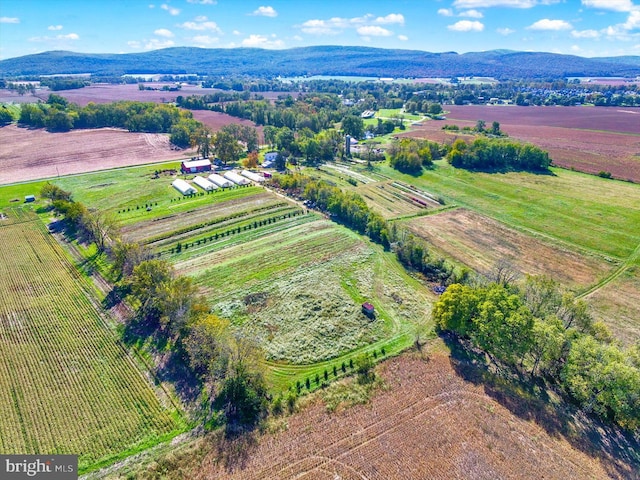 bird's eye view featuring a rural view and a mountain view