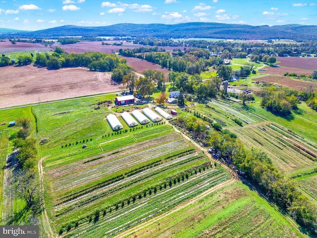 aerial view featuring a rural view and a mountain view