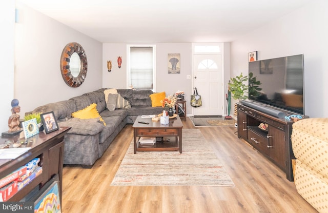 living room with light hardwood / wood-style flooring