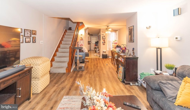 living room featuring ceiling fan and wood-type flooring