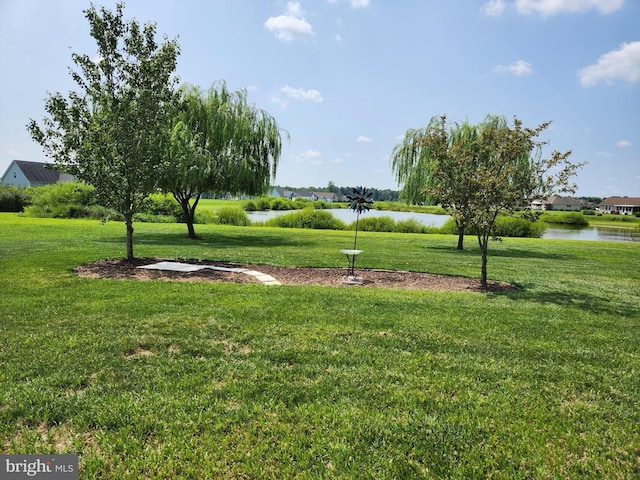 view of community with a water view and a yard