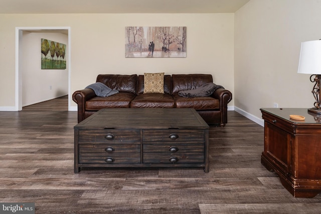 living room featuring dark hardwood / wood-style floors