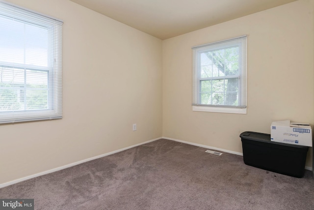 empty room featuring carpet floors