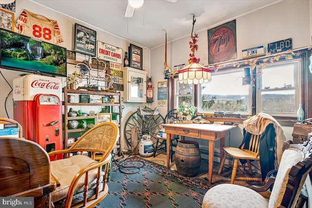 interior space featuring ceiling fan and carpet floors