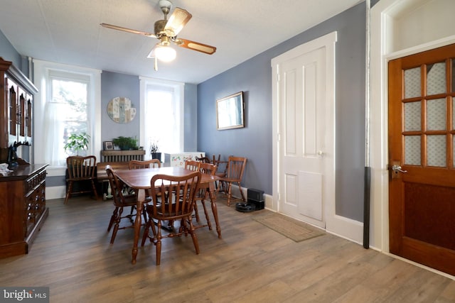 dining room featuring ceiling fan, wood-type flooring, and a textured ceiling