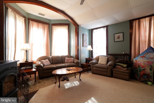 carpeted living room with a wood stove and plenty of natural light