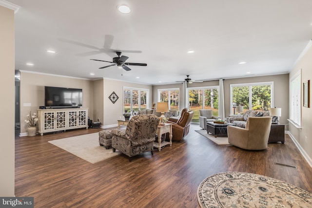 living room featuring dark hardwood / wood-style floors, ceiling fan, and crown molding