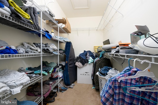 spacious closet with carpet flooring