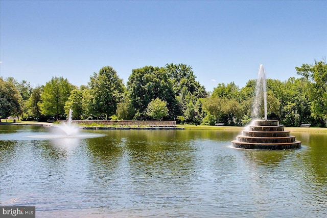 view of water feature