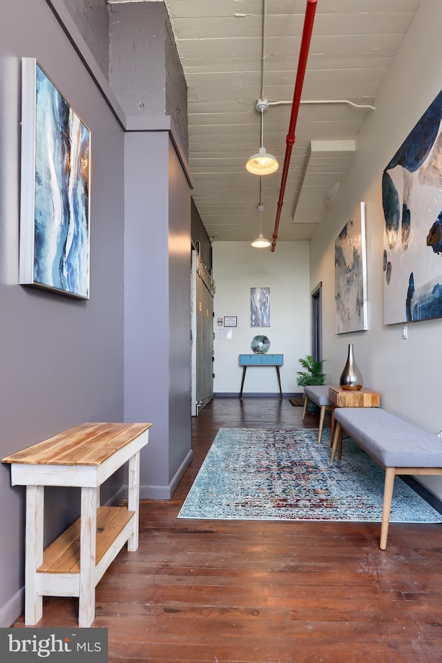 hall featuring a barn door and dark wood-type flooring