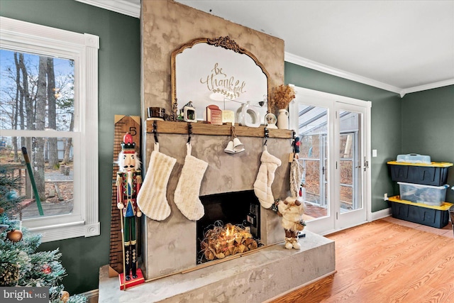 room details with a fireplace, hardwood / wood-style floors, and crown molding