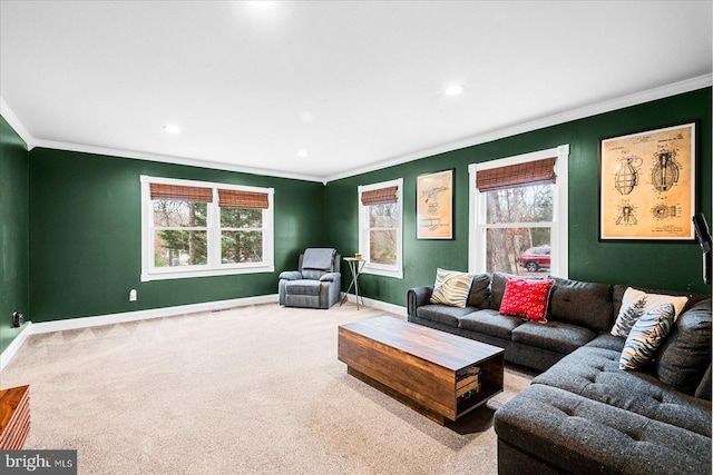 living room with carpet and ornamental molding