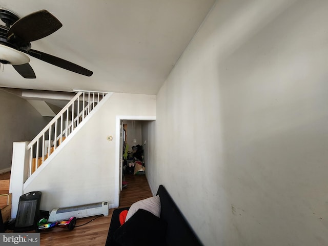 staircase with ceiling fan and hardwood / wood-style floors