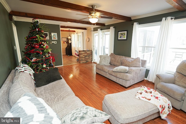 living room with beam ceiling, hardwood / wood-style flooring, and plenty of natural light