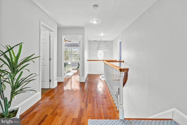 hall with hardwood / wood-style floors